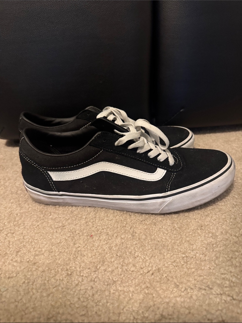 Vans Black & White Low-Top Skate Sneakers
